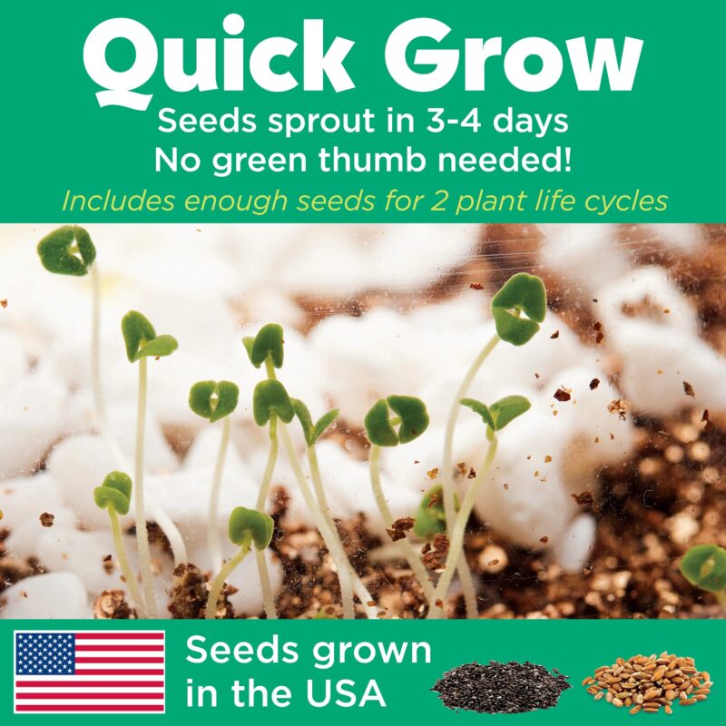 Creativity for Kids Terrarium Kit – Plant & Decorate Your Own Mini Garden with Glowing Fun - Image 9